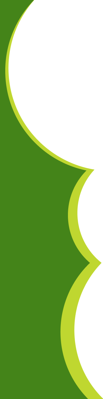 Curved Edges Image Overlay