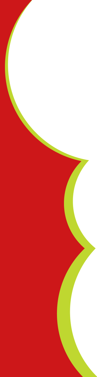 Curved Edges Image Overlay