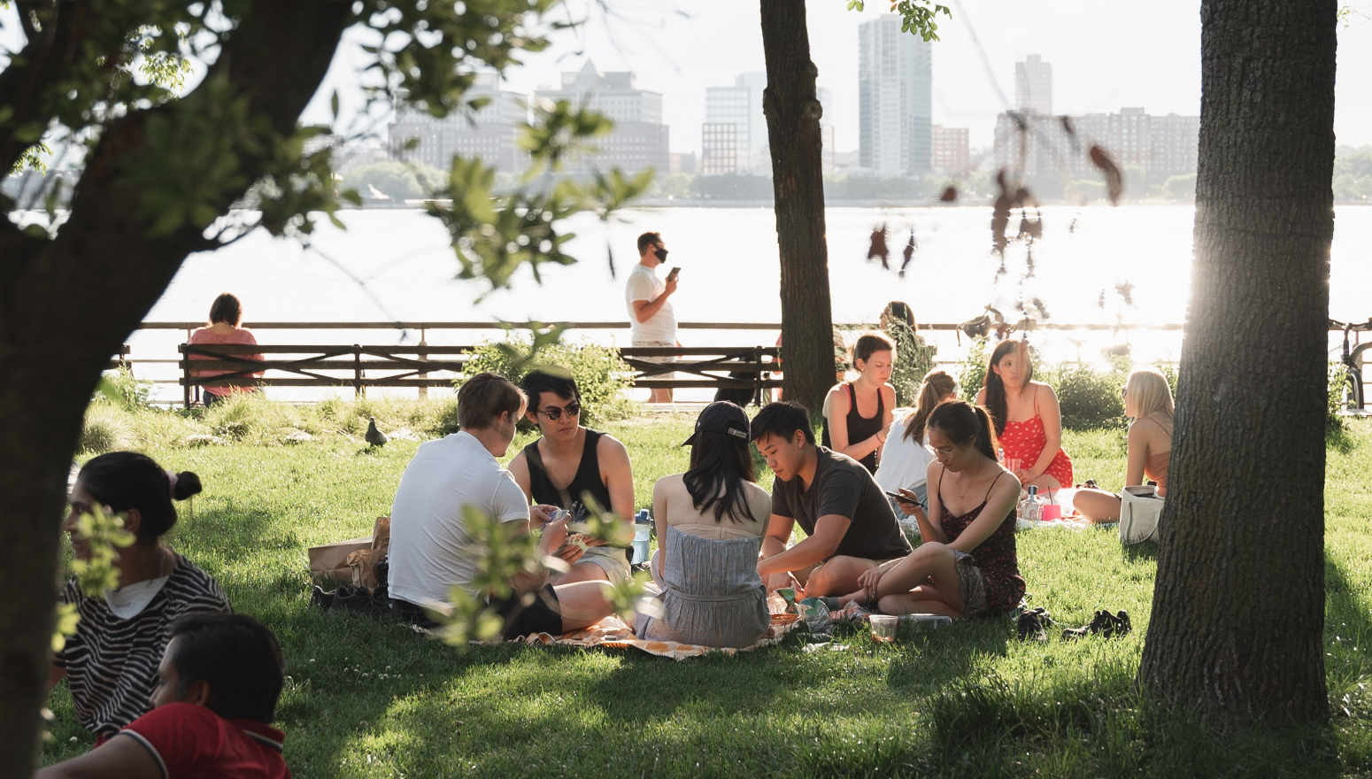 A group of friends having a picnic at the park in the sun.