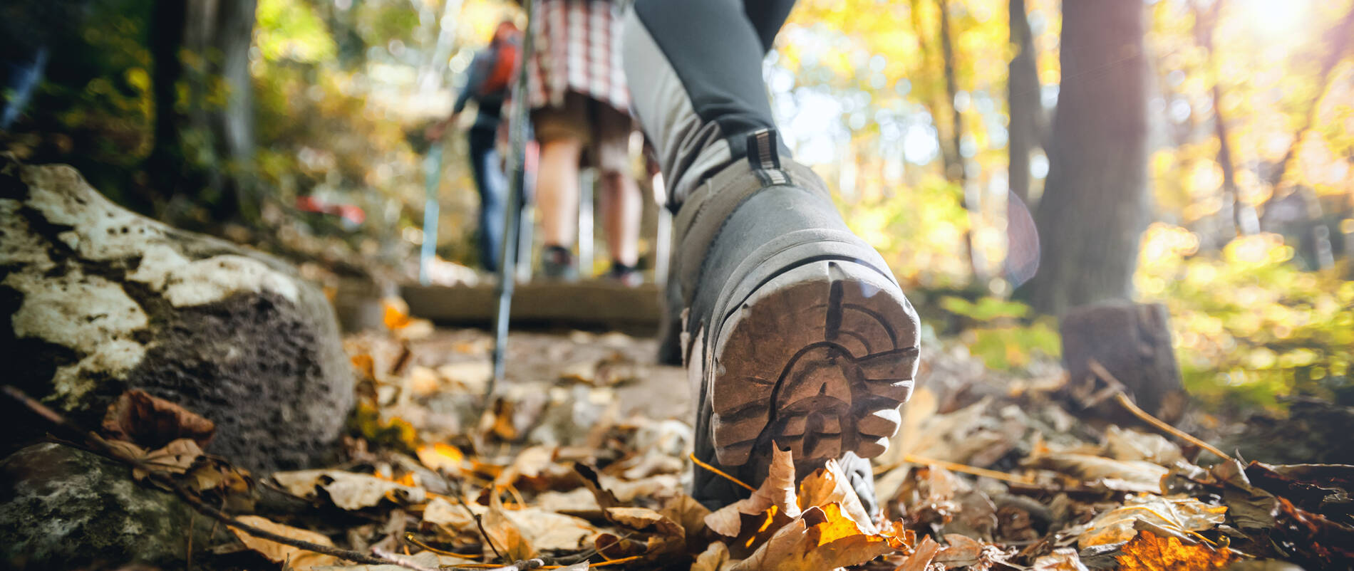 Hiker woman with trekking sticks climbs steep on mountain trail, focus on boot.