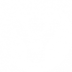 Health Checks Icon